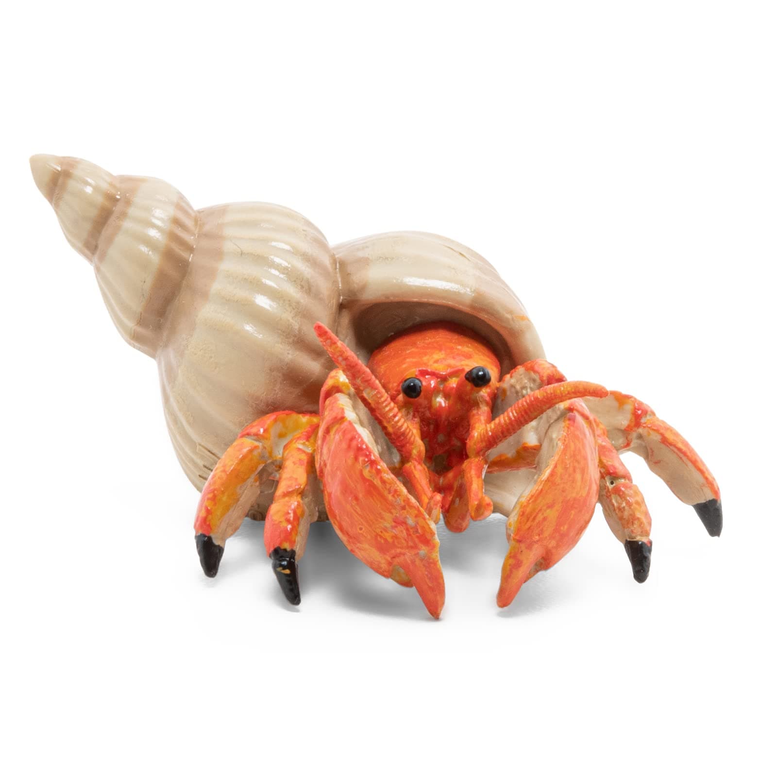 Papo - Realistische Einsiedlerkrebs-Figur - 3 Jahre + - Kollektion Meereswelt - Lernspiel Entdeckung des Ozeans - Geschenkidee Spielzeug für Mädchen und Jungen