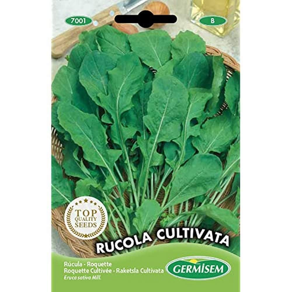 Germisem Rucola CULTIVATA Mehrfarbig